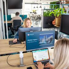 functieprofiel online marketeer