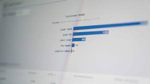 seo en sea marketing