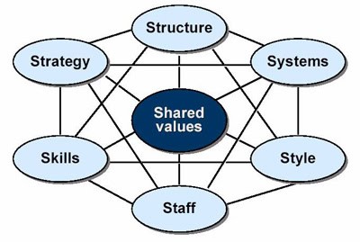 strategisch marketing advies